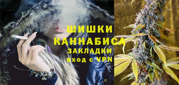 ECSTASY Покачи