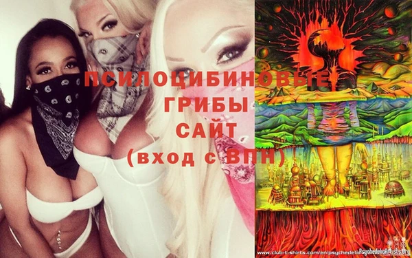 apvp Балабаново
